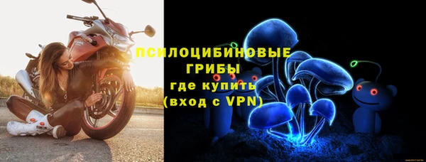 гашик Алексеевка