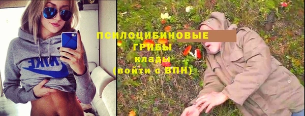 2c-b Алексин