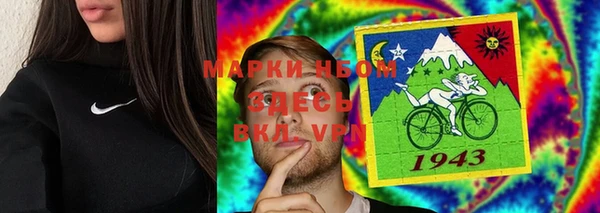 гашик Алексеевка