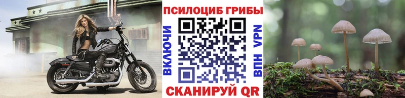 Псилоцибиновые грибы мухоморы  ссылка на мегу tor  Ликино-Дулёво 